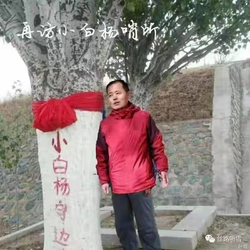 白杨守边.jpg