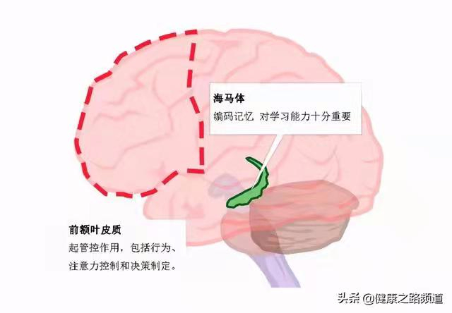 为什么有人会老年痴呆？其实每天花5分钟能预防，人人都会做 （转发今日头条）