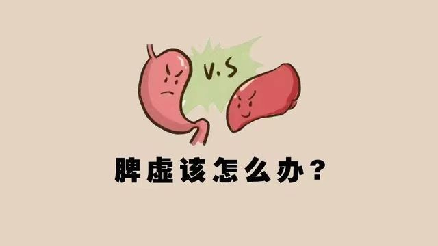 脾虚，人就等于废一半？脾虚的人，身体常有6个变化，提示你养脾(转发今日头条）